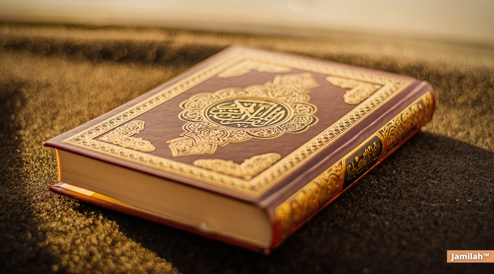 Découvrez Assabile : La plateforme incontournable pour lire et écouter le Coran en français